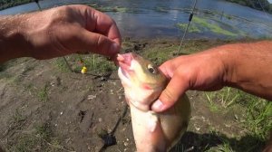 Оснастка на ЛЕЩА с новой кормушкой! Рабочая точка! ! Ло?