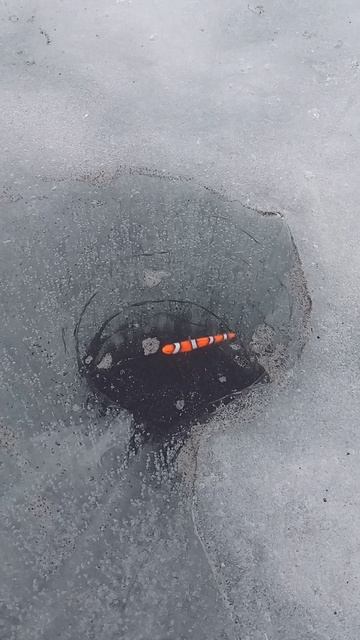 Игра виба Relax Wagner Vib 80 V08 (тонущий, 8 см, 19г) #рыбалка #виб смотреть онлайн