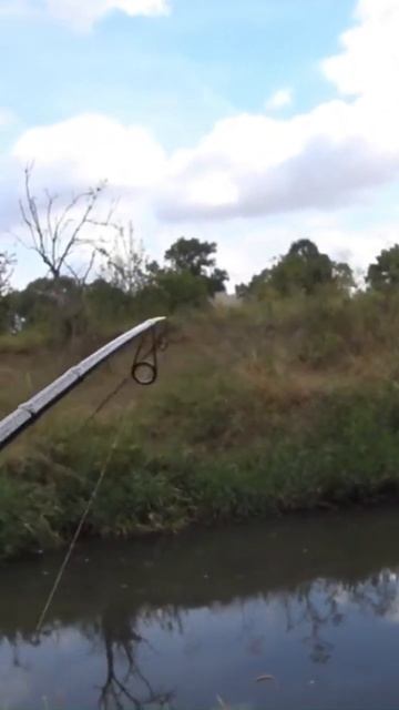 Эта приманка сделала рыбалку. Лучшая ул приманка. Щука смотреть онлайн