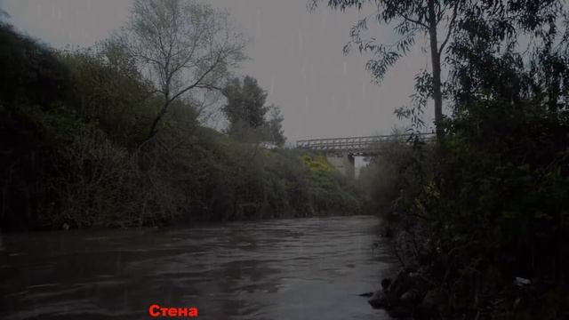 Стена смотреть онлайн