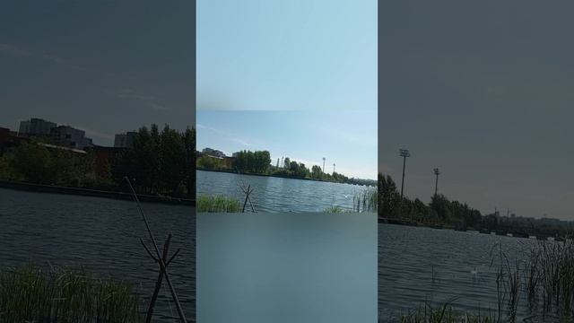 рыбалка на карася на мещерском озере #fishing #актив #рыба?