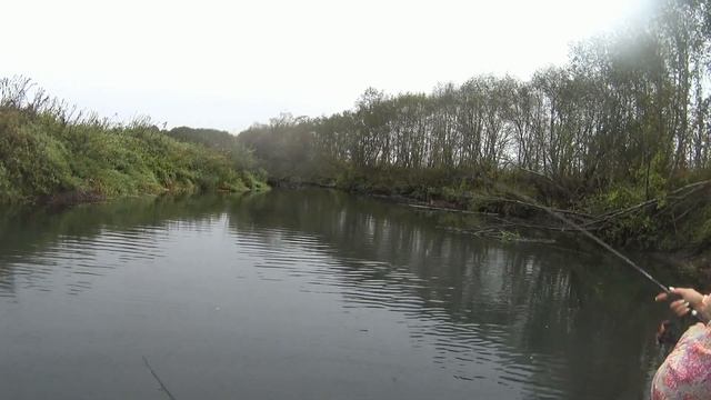 ЖОР ЩУКИ 2024!НАЧАЛО!#щука#спиннинг#рыбалка#жорщуки#fishing смотреть онлайн