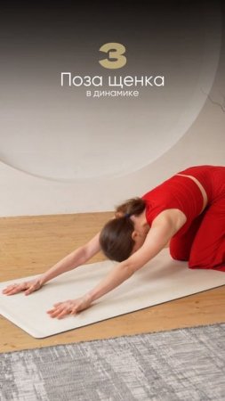 5 в 1: комплекс для укрепления интимных мышц 💪