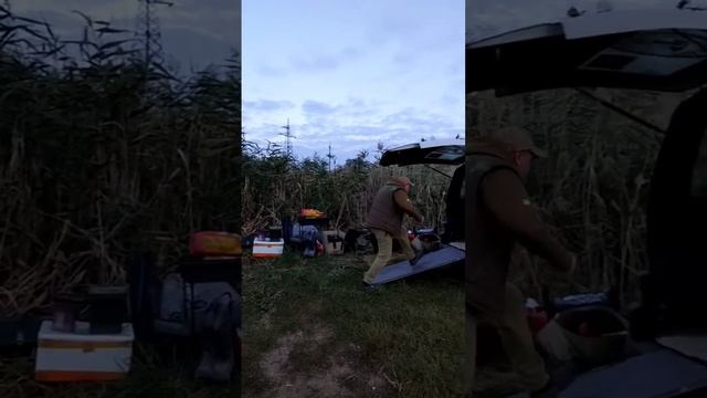 Карповая тележка. Бэтмобиль. Снасти))) #carp #carpfishing #fox #korda смотреть онлайн