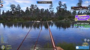 🌟ОЗЕРО КОМАРИНОЕ🌟ЛОВЛЮ УКЛЕЙКУ ДЛЯ ЖИВЦА🌟Русская