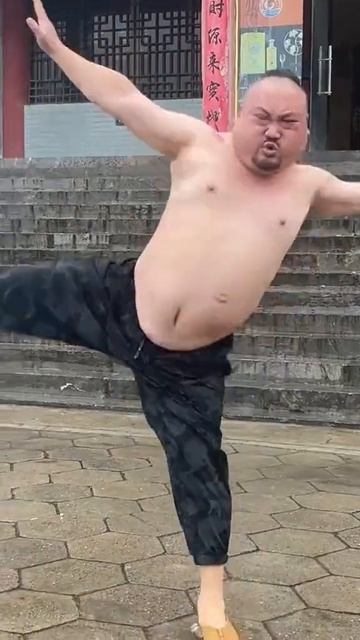 Когда ты борец по жизни ... #любимыйкот#китай #юмор#спор? смотреть онлайн