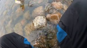 Рыбалка на Канонерском острове.Судаки не давали скуча