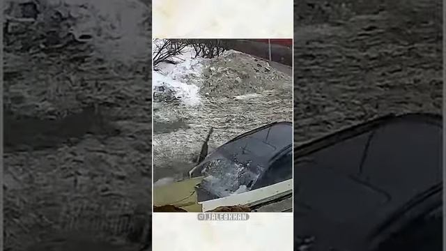 слабо нервным не смотреть. 1 минута и их могло бы не ? смотреть онлайн