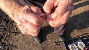 Трофейная плотва весной Фидер или бомбарда