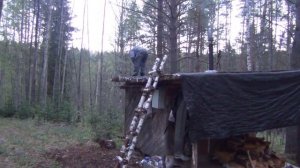 Жизнь в ДЕВСТВЕННОЙ ТАЙГЕ у Отшельника Тайге 2024 река Р