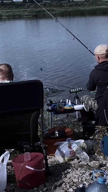 #природа #рыбалка #fishing #fider #лещ #фидер смотреть онлайн