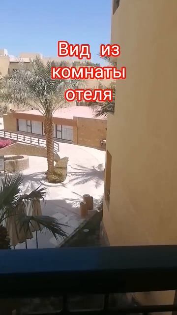 #summer #русскоеморе #travel #отпускпродолжается #beach #тревел?