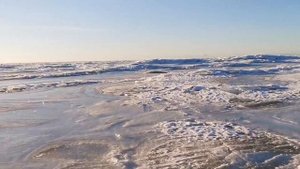 Рыбалка репино