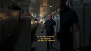 Как производят лущёный шпон?