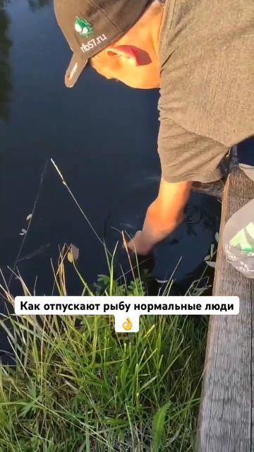 Не на тот крючок присела 🤣#shorts #short #рекомендации #мем # смотреть онлайн