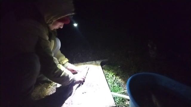 у щуки появился аппетит, успевайте кидать спиннинг... смотреть онлайн