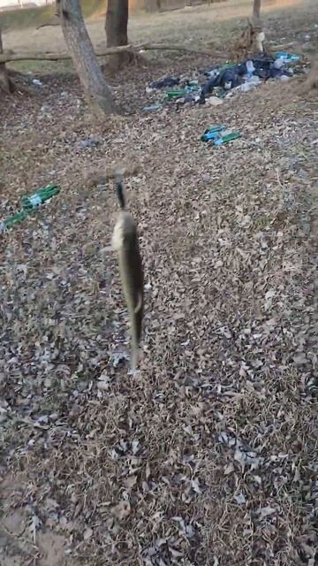 Первая рыбка 2024. Рыболовный сезон объявляю открытым fi