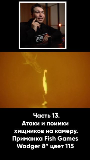 АТАКИ И ПОИМКИ ХИЩНИКА НА ПОДВОДНУЮ КАМЕРУ смотреть онлайн