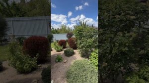 copy_494C297D-9896-4823-A7B7-A937C3FC22E6