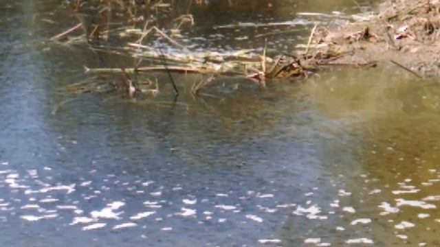 Бузан Август 2017 смотреть онлайн