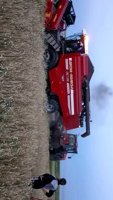 Провалился в погреб... смотреть онлайн