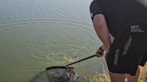 Рыбалка в Адыгее. Шенджий. Караси и фидер.