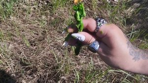 Обряд. На Исцеление Снятие Порчи . Слетает вся Порча . Мощное Заклятье  Снимает Всё.