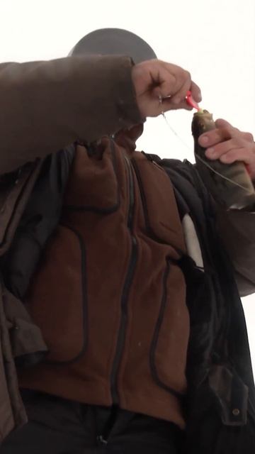 🤔 Зимняя рыбалка на Полярном Урале #ямал #крайнийсеве смотреть онлайн