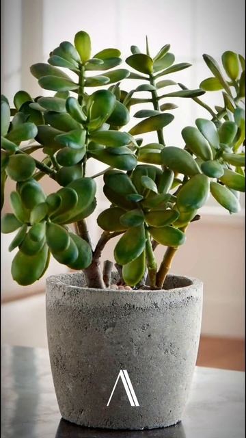 3 вещи, которые помогут сделать ремонт без кредита: смотреть онлайн