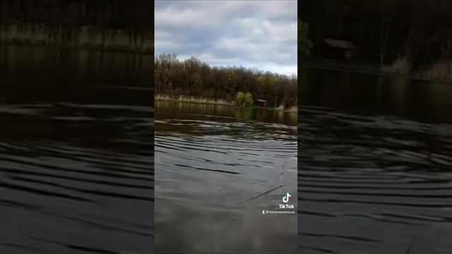 САМАЯ УБОЙНАЯ СНАСТЬ #shorts смотреть онлайн