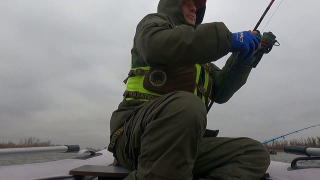 ТАКОГО В АСТРАХАНИ ВЫ ЕЩЕ НЕ ВИДЕЛИ Рыболовные киноде? смотреть онлайн