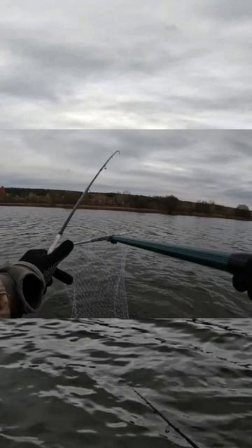 Вот это удар!Осенняя щука на джиг. #рыбалка #щука #джиг # смотреть онлайн