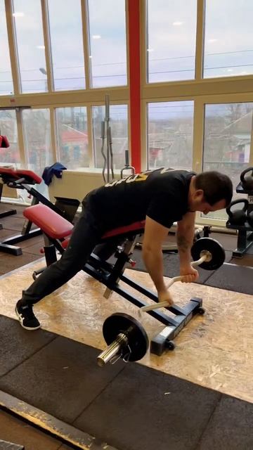 Паучьи сгибание рук,лёжа на наклонной скамье гриф для смотреть онлайн