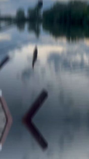 Рыбалка на Днестре🐟 +38 (097) 796 97 97+38 mayami-club.com смотреть онлайн