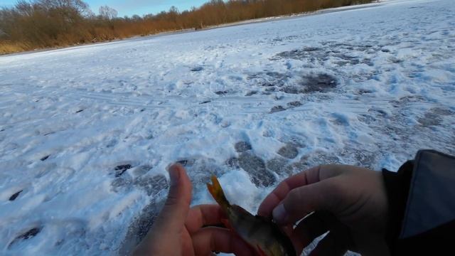 РЫБАЛКА В ГЛУХОЗИМЬЕ. Ловим рыбу на старике  реки Бере?
