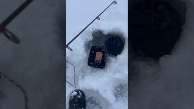 Рыбалка на волге 19 12 2024 смотреть онлайн