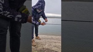 Abu Garcia Zenon ltx - пара забросов для общего представления о