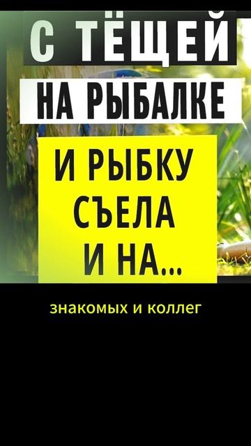 Рыбалка с тёщей удалась и рыбку съела и...Интересные ис смотреть онлайн