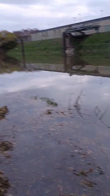 Рыбалка на спиннинг осенью 17.11.2023 река Майн