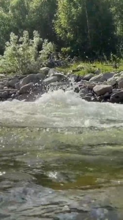 11. Верховье р. Енисей (Устье р. Ожу) #nature #fishing #mountains #река #travel #сплавпореке #енисей