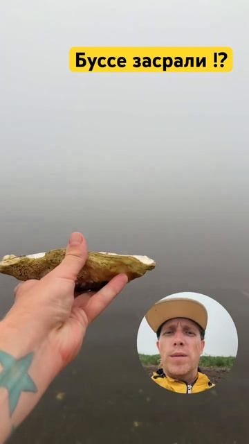 Лагуна буссе, красивое место, устрицы под нагами ( если смотреть онлайн