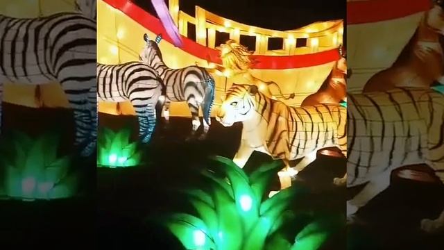 Фестиваль гигантских китайских фонарей в Киеве смотреть онлайн