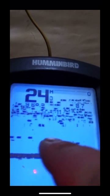 А у Вас ЕСТЬ ЭХОЛОТ и КАКОЙ? #shorts #fishing #nature #рыбалка #fish #? смотреть онлайн