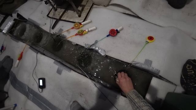 Рыбалка на озере Уелги 23.11.2024, отличное начало зимнего