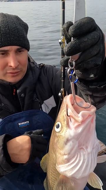 ОТЛИЧНАЯ МОРСКАЯ РЫБАЛКА смотреть онлайн