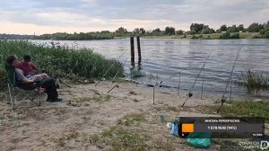 СТРИМ. Рыбалка Река Ахтуба Волгоградская обл.