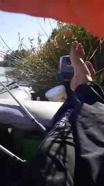 Астрахань, Рыбалка сентябрь 2024 смотреть онлайн