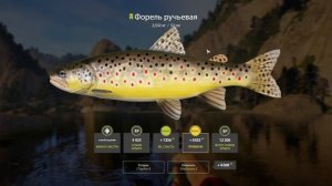 Русская рыбалка 4 - Новогодние задания - ЭКСТРА - этап 2,