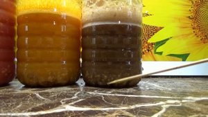 Как заготовить качественные семена томатов со 100% всхожестью? Отчего это зависит?