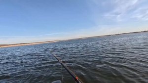 Щука после нереста начала питаться. Shimano 23  dialuna B80H тест